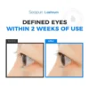 lash-2-1.webp