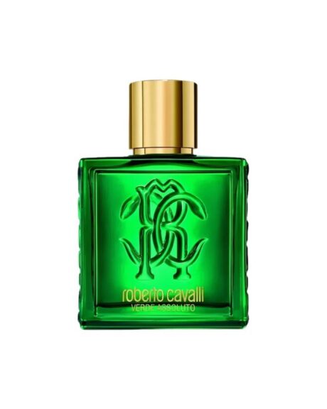 UOMO VERDE ASSOLUTO – Roberto Cavalli